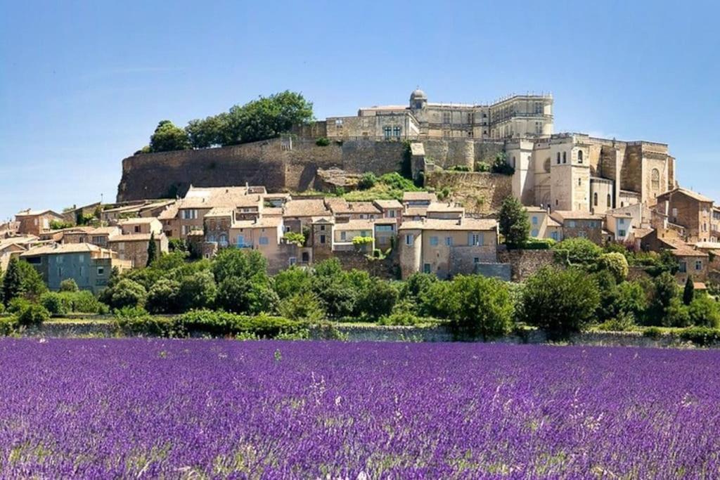 Maison De Ville Chateauneuf-du-Rhone Exterior foto